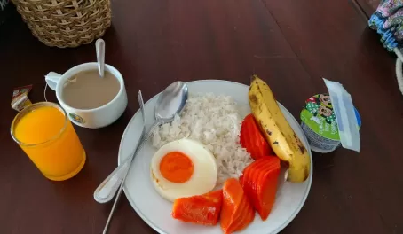 My favorite breakfast. Rice, egg, papaya, banana, tea and juice.