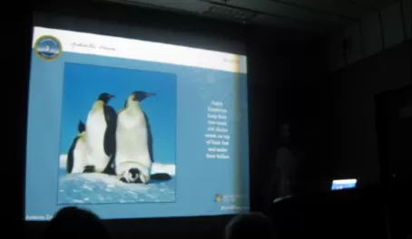 A lecture on penguins...very informative