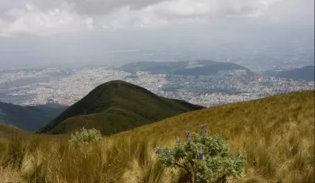 (Quito) View from Cruz Loma, Pichincha Volcano
