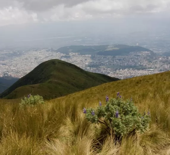 (Quito) View from Cruz Loma, Pichincha Volcano