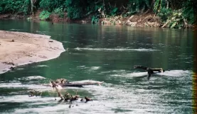 Exploring the legendary Amazon region
