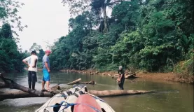 Exploring the legendary Amazon region