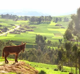 So many beautiful sites like this in the countryside of Peru