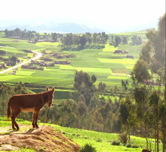 So many beautiful sites like this in the countryside of Peru
