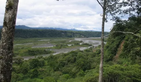 Macas - Southern Ecuadorian Jungle