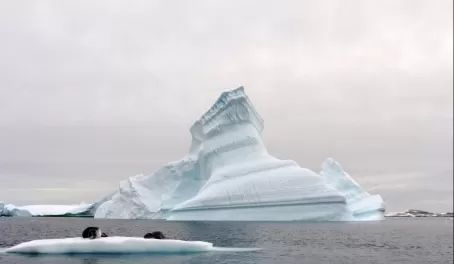 Sphinx-like iceberg