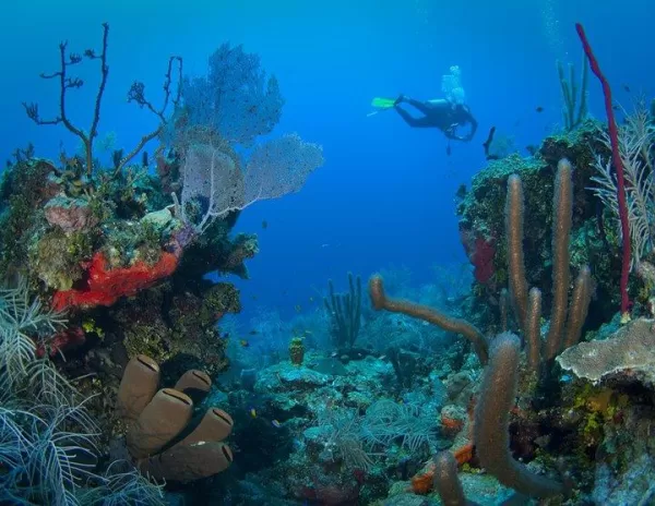 Diving water activities in Belize