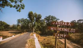 Jamtara Wilderness Camp