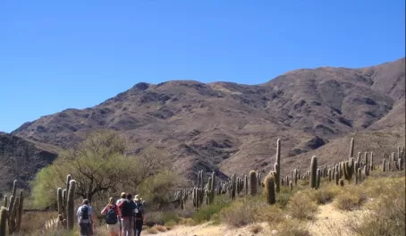 Trekking through the cactus