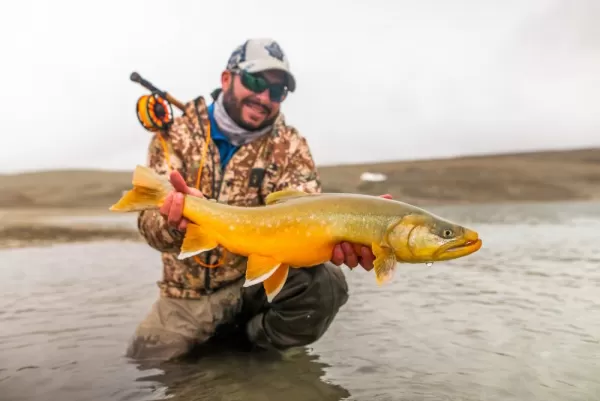 Fly fishing for Arctic char near Arctic Watch