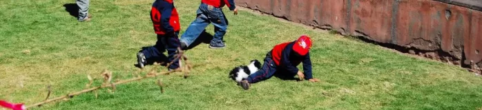 Boys playing with a puppy near the Plaza.