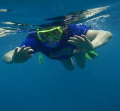 Snorkeling in the Galapagos