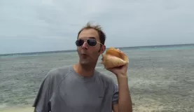 Can you really hear the ocean