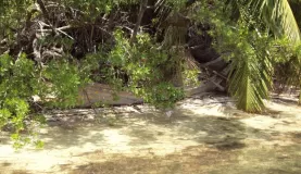 Abandoned Canoe from Cubans trying to flee