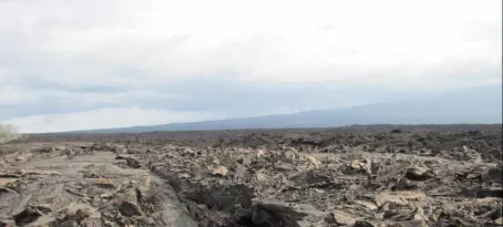 Pahoehoe lava - and this is the lava that is easy to walk on