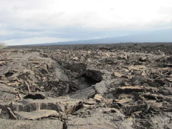 Pahoehoe lava - and this is the lava that is easy to walk on