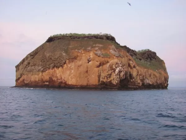 Daphne Island, a rocky cupcake