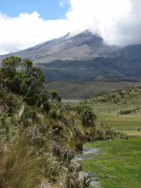 On the shores of Laguna de Limpiopungo, with Cotopaxi in the background