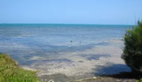 Another view from the cabin