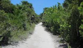 Hiking / bike trail that leads from our cabin to the local reserve