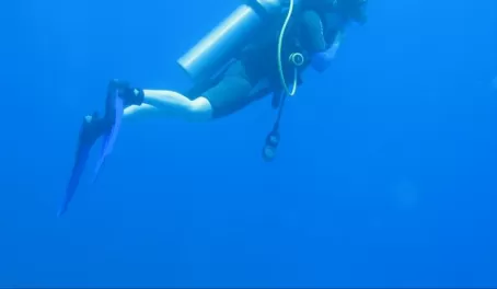 Scuba diving in Belize