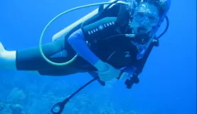 Diving off Caye Caulker