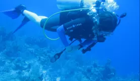 Watching beautiful coral reef pass by while diving off Caye Caulker