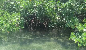 Beautiful Belize