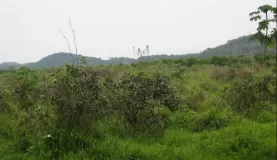 Exploring Belize