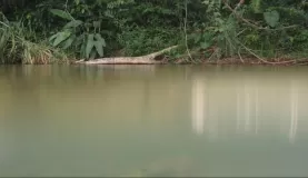 Exploring Belize