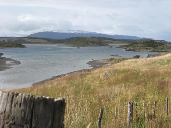 Day trip to Gable Island navigation and penguin colony