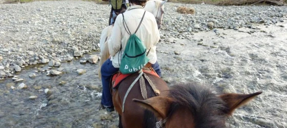 Horseback riding