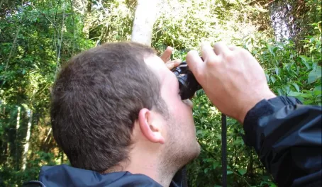 viewing the birds through our binoculars