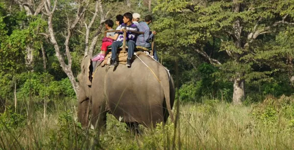 Elephant Ride in Bardia