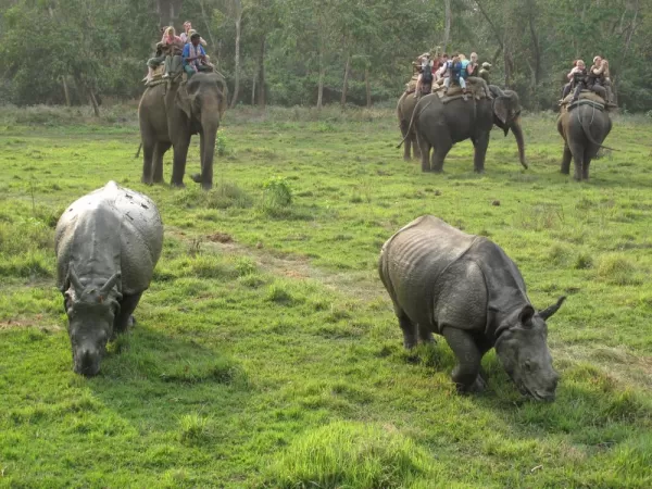 Wildlife in Bardia National Park