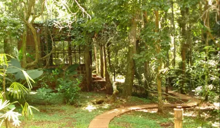 The path to our personal sanctuary