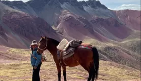 Andean Horseman