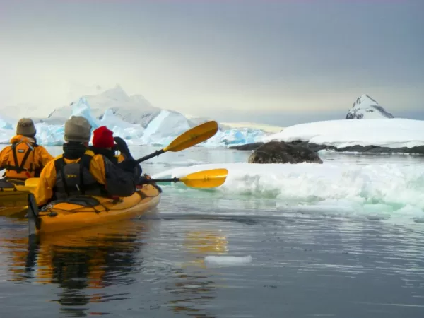 Kayaking close to the seal