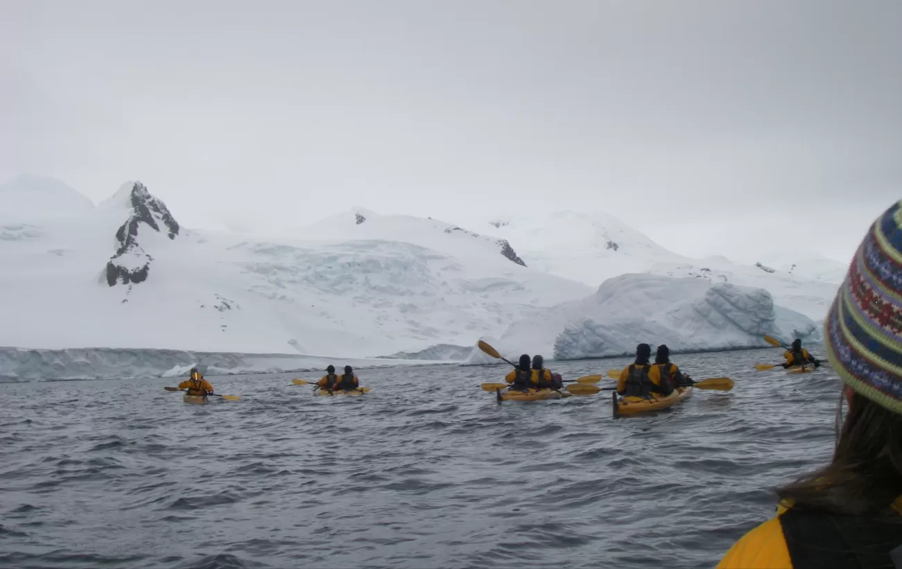 A group kayaks with humpback whales in Antarctica