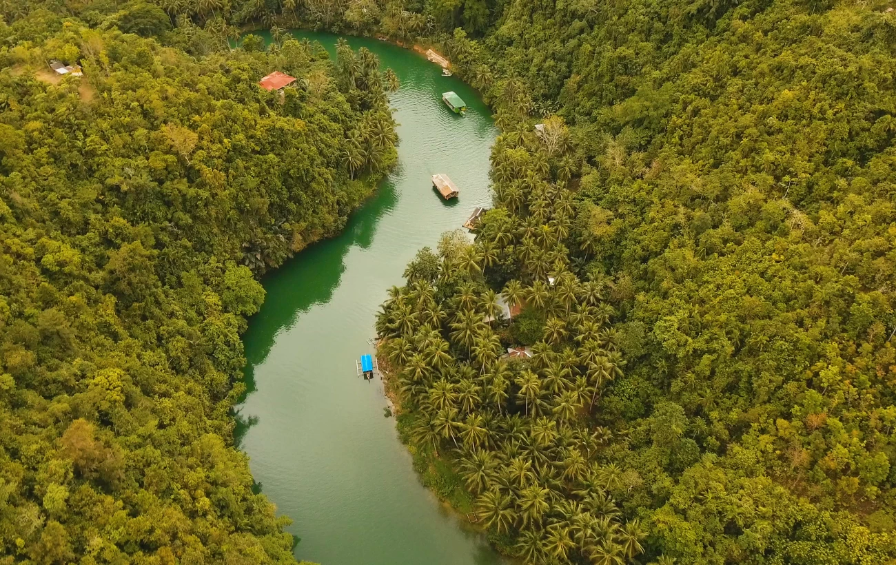 Loboc river in the rainforest Philippines, Bohol