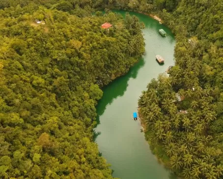 Loboc river in the rainforest Philippines, Bohol