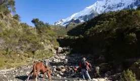 A horse joined us on the journey just in case someone needed a ride or extra water. Our 911!