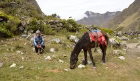Our 911 horse for Salkantay Pass, Curly and his care taker, Ishmael.