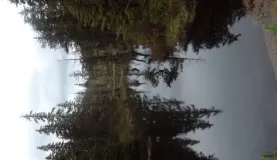Alaska reflected