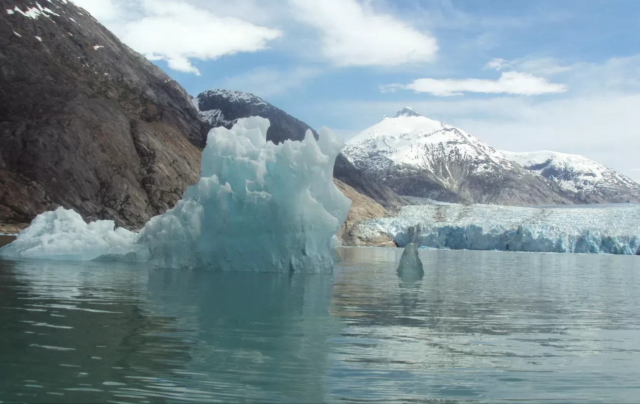 Icebergs next to the glacier