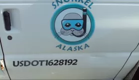 Snorkel Alaska?