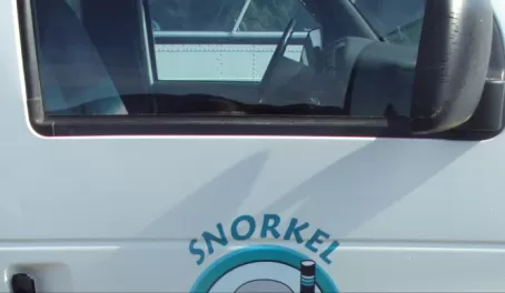 Snorkel Alaska?