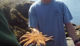 Holding the starfish
