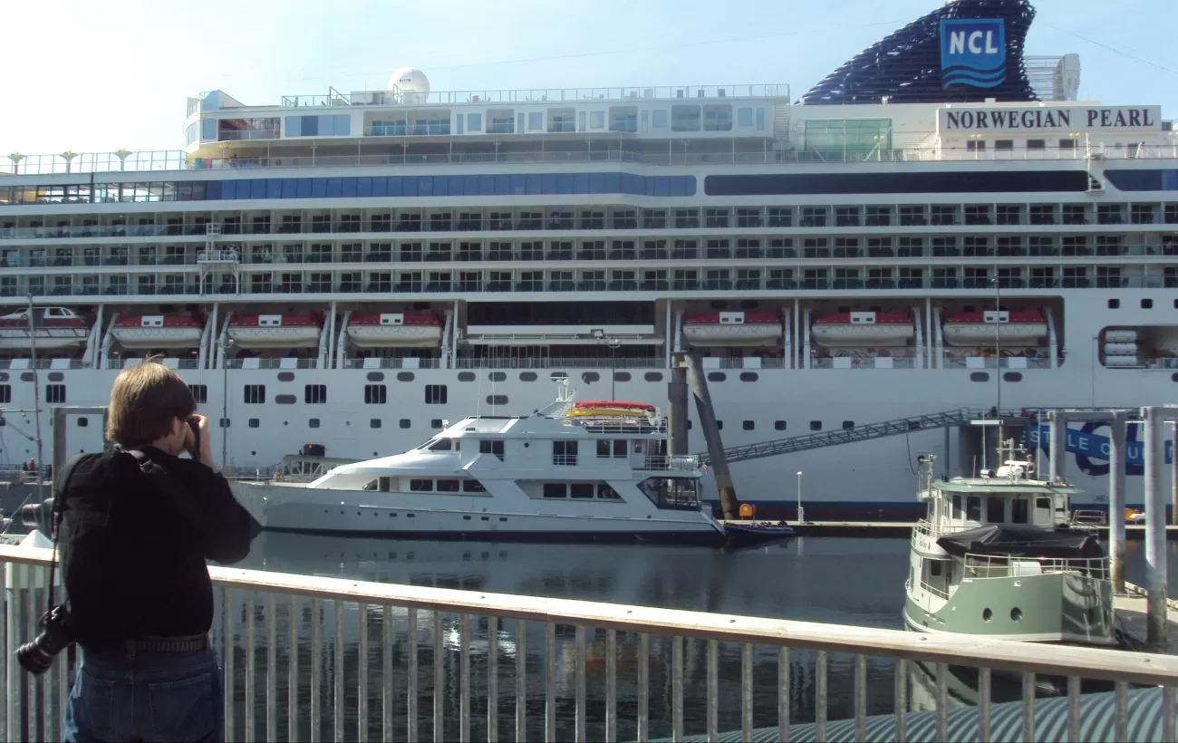 Just a comparison in size