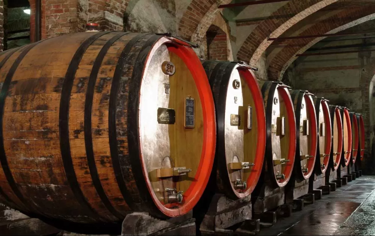 Wine Cellars in Barolo
